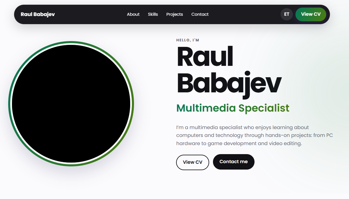 Portfolio website project preview
